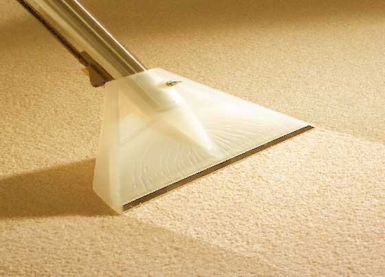 Click image for larger version. 

Name:	carpetcleaning.jpg 
Views:	476 
Size:	23.7 KB 
ID:	10105