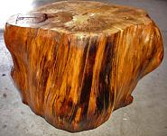 The tree stump tables are one of a kind. Each piece is hand-sculpted in the USA from a wide variety of already felled, reclaimed American trees. They are air-cured for a minimum of one to three years. Only earth-friendly stains, sealers and waxes are used in the finishing process.

As the tree has given us life, instead of being relegated to sawdust, decay or landfill, it is only fitting that it be reclaimed so that it may live again as art. It is also a gesture on the part of the artist to remind us all of our important role as stewards of the planet.